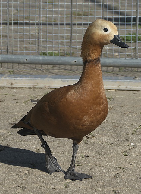 仅仅关于速