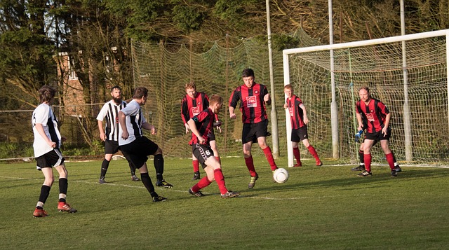 爱体育的国 爱体育的国