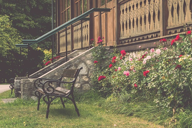 拜仁的全队 拜仁的全队