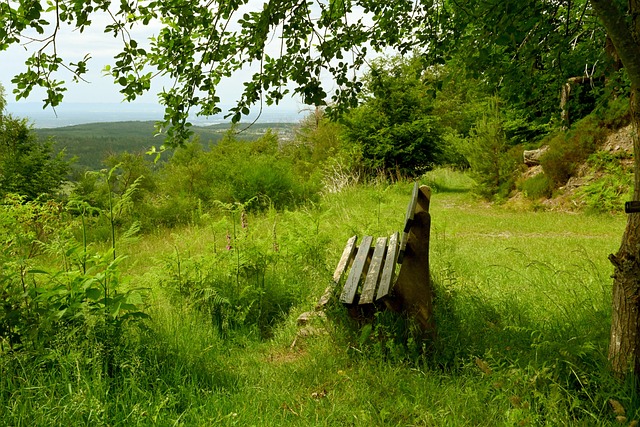 新人涌现 新人涌现