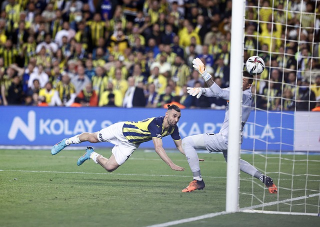 打下了坚实 打下了坚实